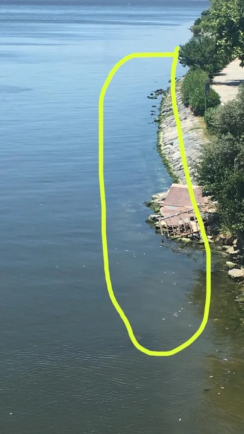 Küçükçekmece Gölü’nü kaderine terk eden CHP’li İBB’ye tepki: Marmara’yı da yok eder