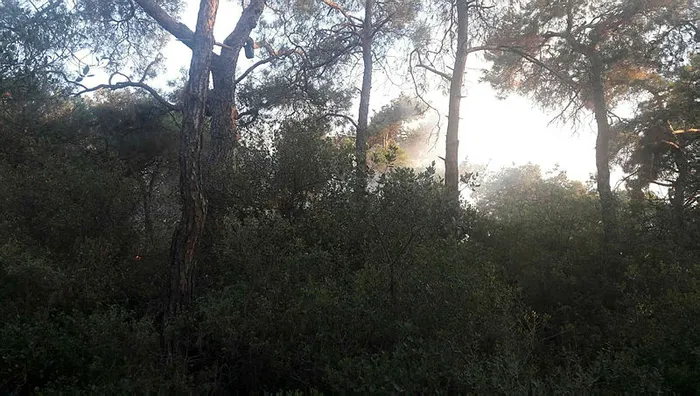 Son dakika: Büyükada'da korkutan orman yangını - 2