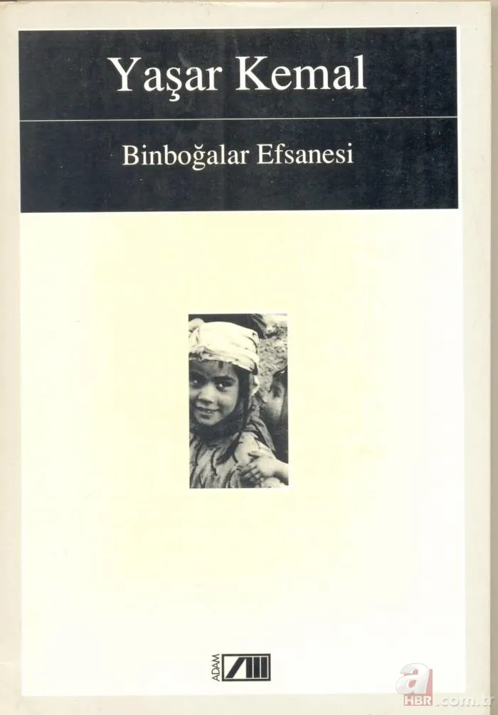 Olmazsa olmaz 10 Yaşar Kemal kitabı 3