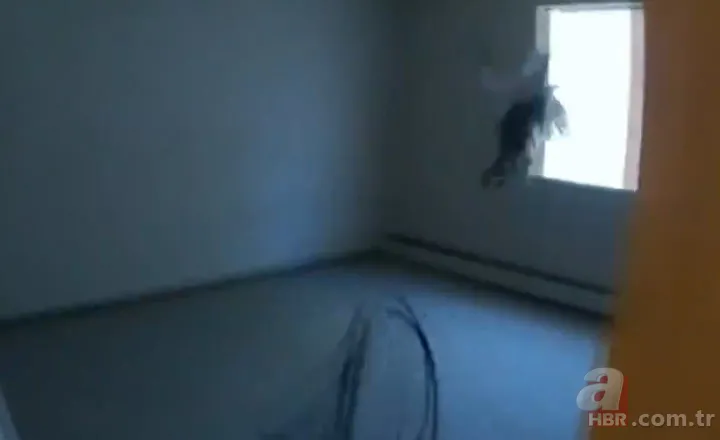 Eve giren firari vahşi hindi ortalığı birbirine kattı! ABD polisinden "özel hindi operasyonu" 15