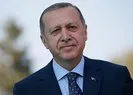 Başkan Erdoğandan Sümeyye Boyacıya tebrik