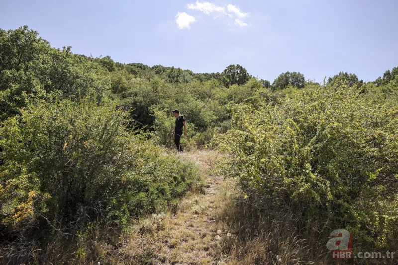 Onur Alp Eker ölümüyle Türkiye'yi yasa boğdu! Arkadaşından şoke eden iddia 15