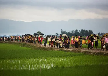 Hollanda'dan skandal Arakan kararı