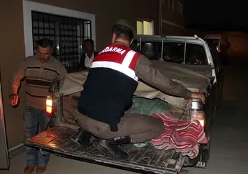 Ayının saldırısına uğrayan kişi öldü