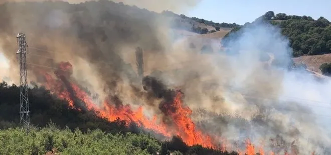 Son dakika: Balıkesir’de ormanlık alanda korkutan yangın