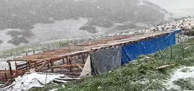 Üç şehir kara teslim oldu! Tokat,  Amasya ve Ordu’da şiddetli kar yağışı