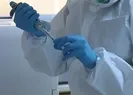 Türk bilim insanları başardı! O ilaç sentezledi