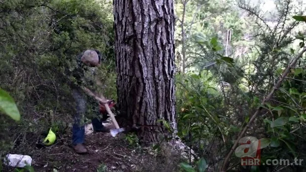 Yol yapımı sırasında bulundu! Milyonlarca yıllık… 17