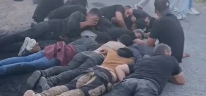 Koyun sürüsüne çarpan araçtan 14 kaçak göçmen çıktı!