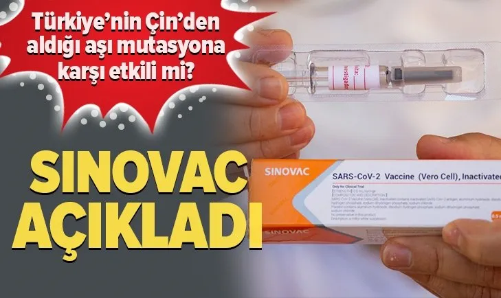 Son dakika: Türkiye’nin Çin’den aldığı COVID-19 aşıları İngiltere’deki mutasyona karşı etkili mi? Sinovac açıkladı