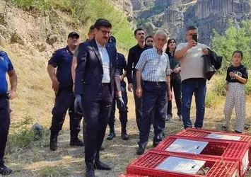 Bolu'da doğaya 600 kınalı keklik bırakıldı