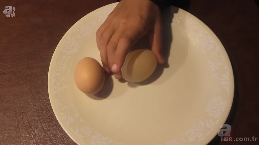 Beslediği tavuğun yumurtasını almak için kümese girdi! Yumurtayı eline alınca gözlerine inanamadı 15