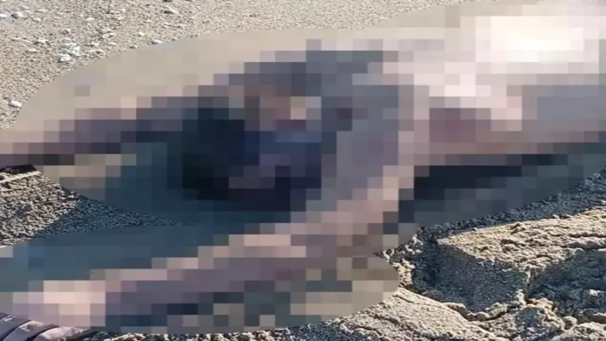 Sakarya'da korkunç olay! Kumsalda çıplak erkek cesedi bulundu