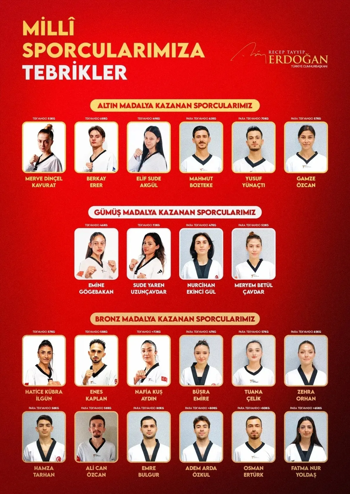 Başkan Erdoğan'dan şampiyon millilere tebrik!