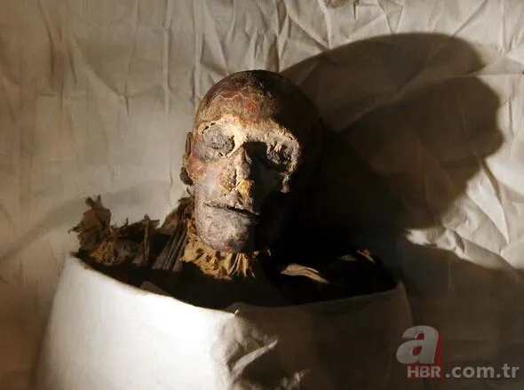 Gizemli iskeletin sırrı çözüldü! Uzaylıya mı ait? UFO teorileri üzerinde duruluyordu… Gerçek bambaşka çıktı 13