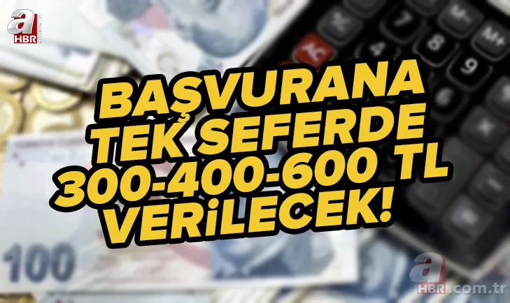 Başvurana tek seferde 300, 400, 600 TL verilecek! PTT üzerinden ödeme alabilirsiniz! Başvuru yapmak oldukça kolay 1