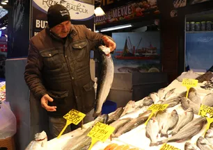 Trabzon'da balıkçı tezgahlarında istavrit ilgi görüyor