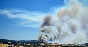 Edirne Keşan’da orman yangını!