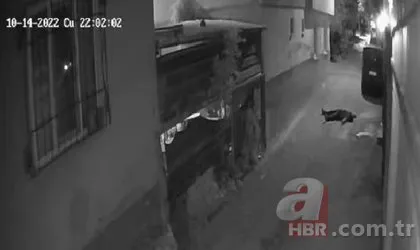 Bursa’da yürek yakan olay! Kadını cani eşinden kurtarmak isteyen polis şehit oldu