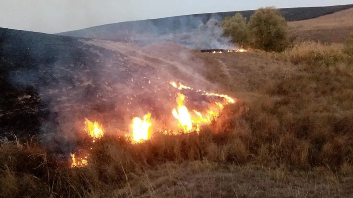 Uzmanlardan dikkat çeken uyarı: Anız yangınlarına dikkat