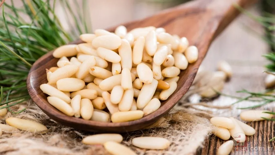 İbn-i Sina binlerce yıl önce yazdı: 1 asır yaşamanın sırrı bu reçetede... 3