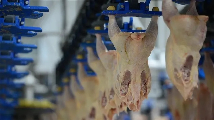 ticaret-bakanligi-duyurdu-haksiz-fiyat-artislari-sonrasi-kanatli-eti-ihracati-durduruldu-1770630260097.jpeg Haksız fiyat artışları sonrası kanatlı eti ihracatı durduruldu! Uzman isimden A Haber'de çarpıcı açıklama - 4