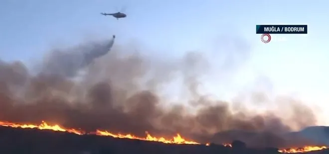 Son dakika: Bodrum’da yeni yangın | Kontrol altına alındı