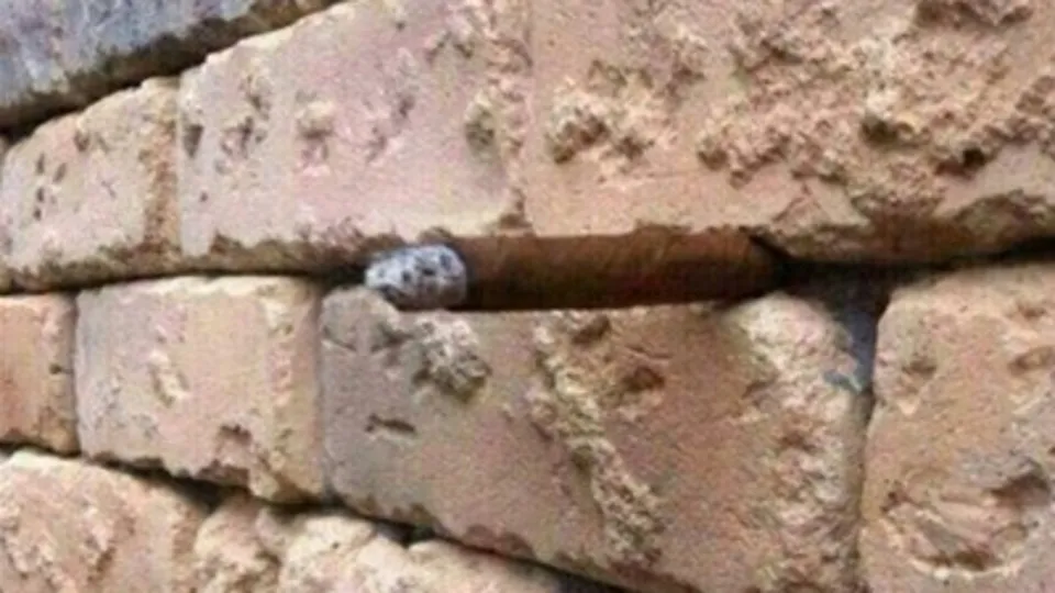 Bu fotoğraflara dikkatlice bakın