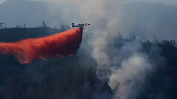 Marmaris’teki yangını çıkaran kundakçı Sacit Ayhan’ın ormana gidişini görgü tanığı anlattı: Motosikletinde benzin bidonu vardı