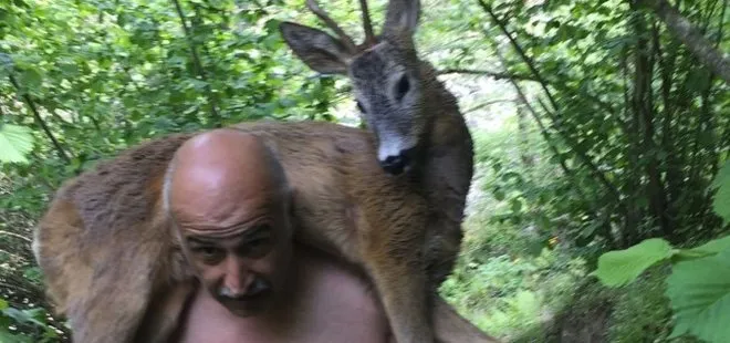 Derede yaralı halde bulunan geyik omuzda taşındı