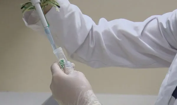 DSÖ’den koronavirüs aşısı hakkında flaş açıklama