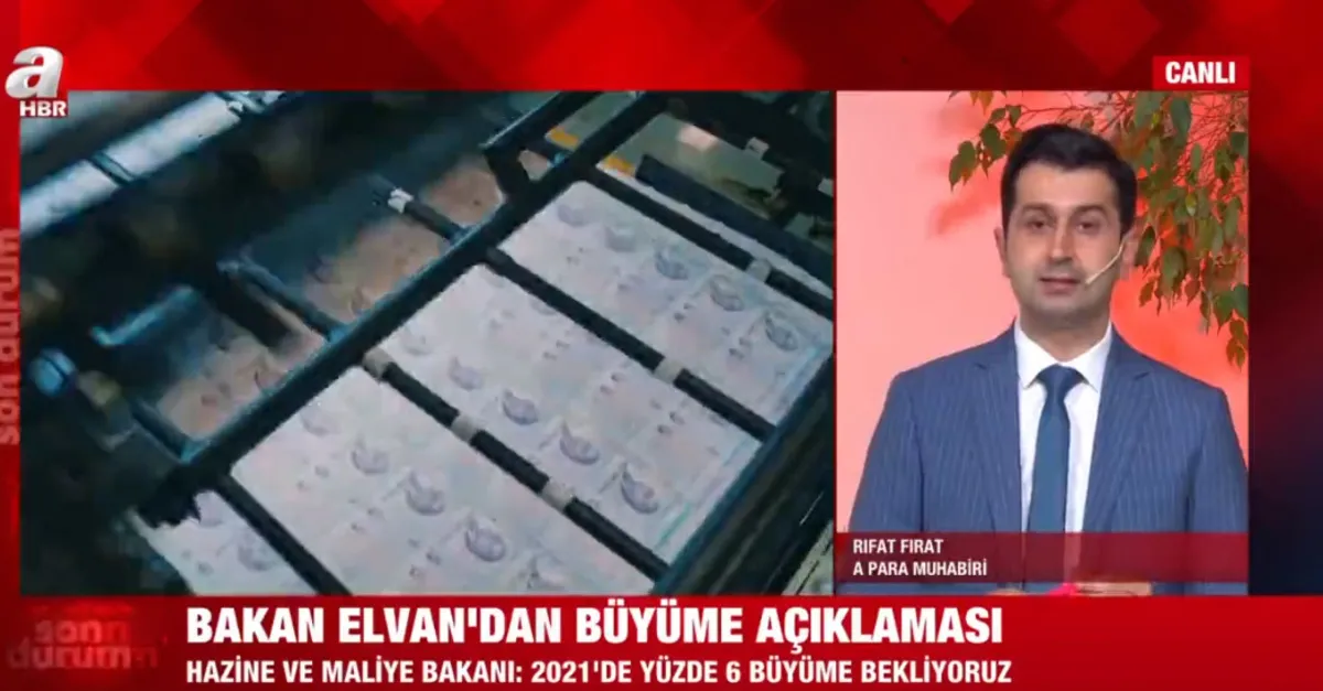 Son dakika: Hazine ve Maliye Bakanı Lütfi Elvan'dan enflasyon ve büyüme açıklaması