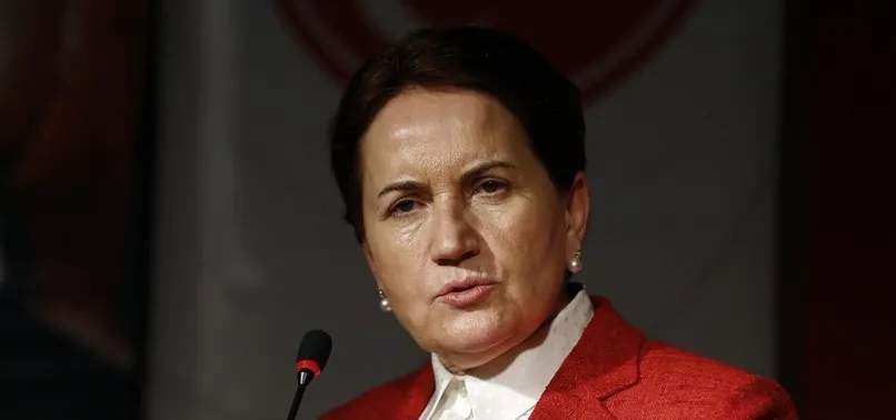 TBMM'den kritik ihraçlar