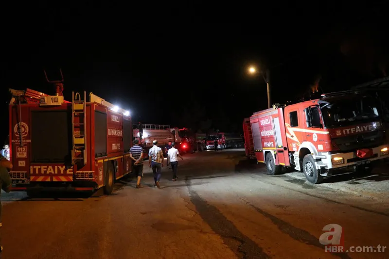 Denizli'de yangın faciası! Bölgedeki 50 ev boşaltıldı | 7 ilçede çıkan orman yangınlarından 6'sı kontrol altına alındı 16