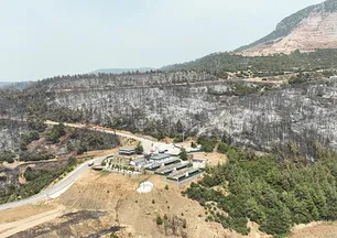 Bursa'daki yangın sonrası yürek burkan manzara! Hepsi küle döndü
