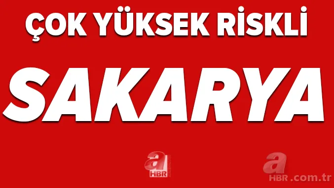 İstanbul ve Ankara'nın koronavirüs renk haritası değişecek mi? Hangi il hangi renk? 11