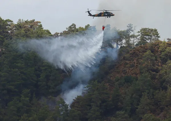 Başkan Erdoğan’dan Marmaris’teki yangına ilişkin açıklama: Dikim yaparak yeniden ihya edeceğiz