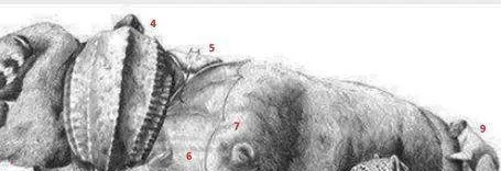 Zeka testi: Resimde kaç hayvan var? 30 saniyede bulamayanlar eleniyor 7