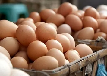 Köy yumurtasındaki büyük hileyi açıkladı
