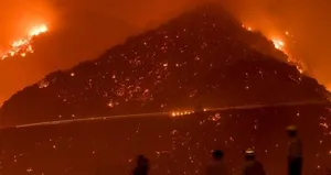 ABD cayır cayır: 12 bin hektar alan yok oldu