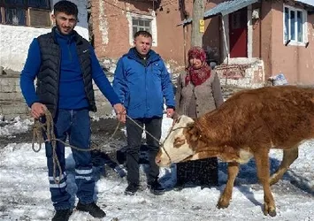 Türkiye tek yürek! 'Sarıkız'ı satıp parasını depremzedelere bağışladı