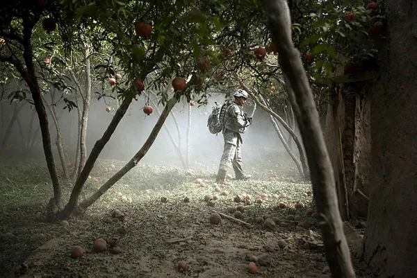 CENTCOM Komutanı Kenneth F. McKenzie’den Irak’tan asker çekme kararına üstü kapalı eleştiri