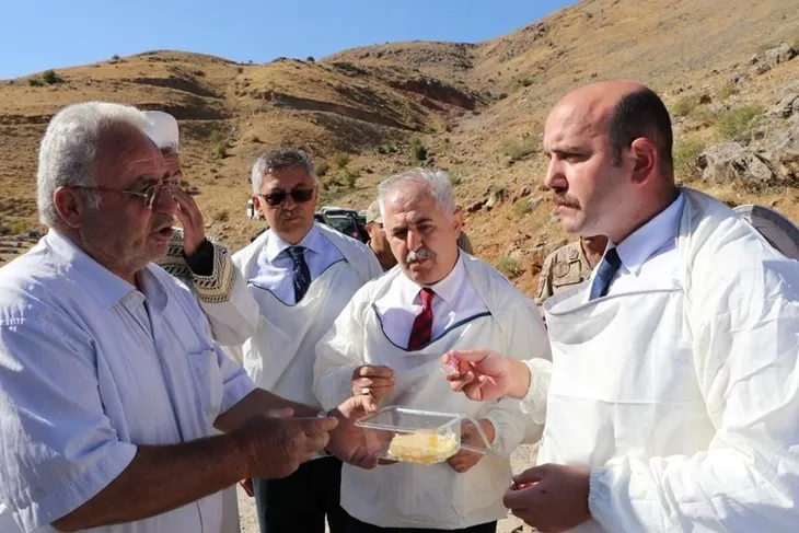 Verimli bal sezonu için şükür duasında arılar saldırdı - 3