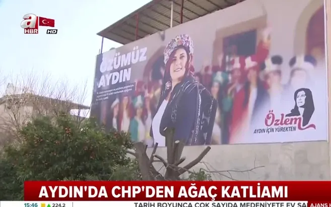 Aydın'da CHP'den ağaç katliamı!