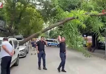 Samsun’da ağaç otomobilin üzerine devrildi