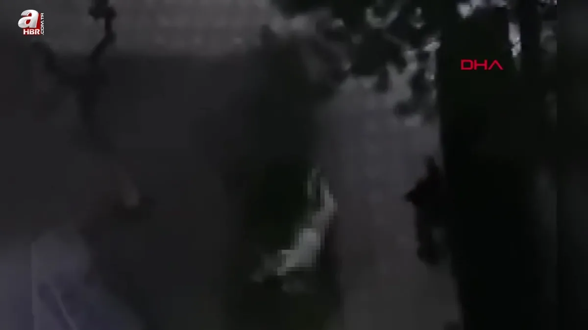 14'üncü kattan düşen Şeyma öldü