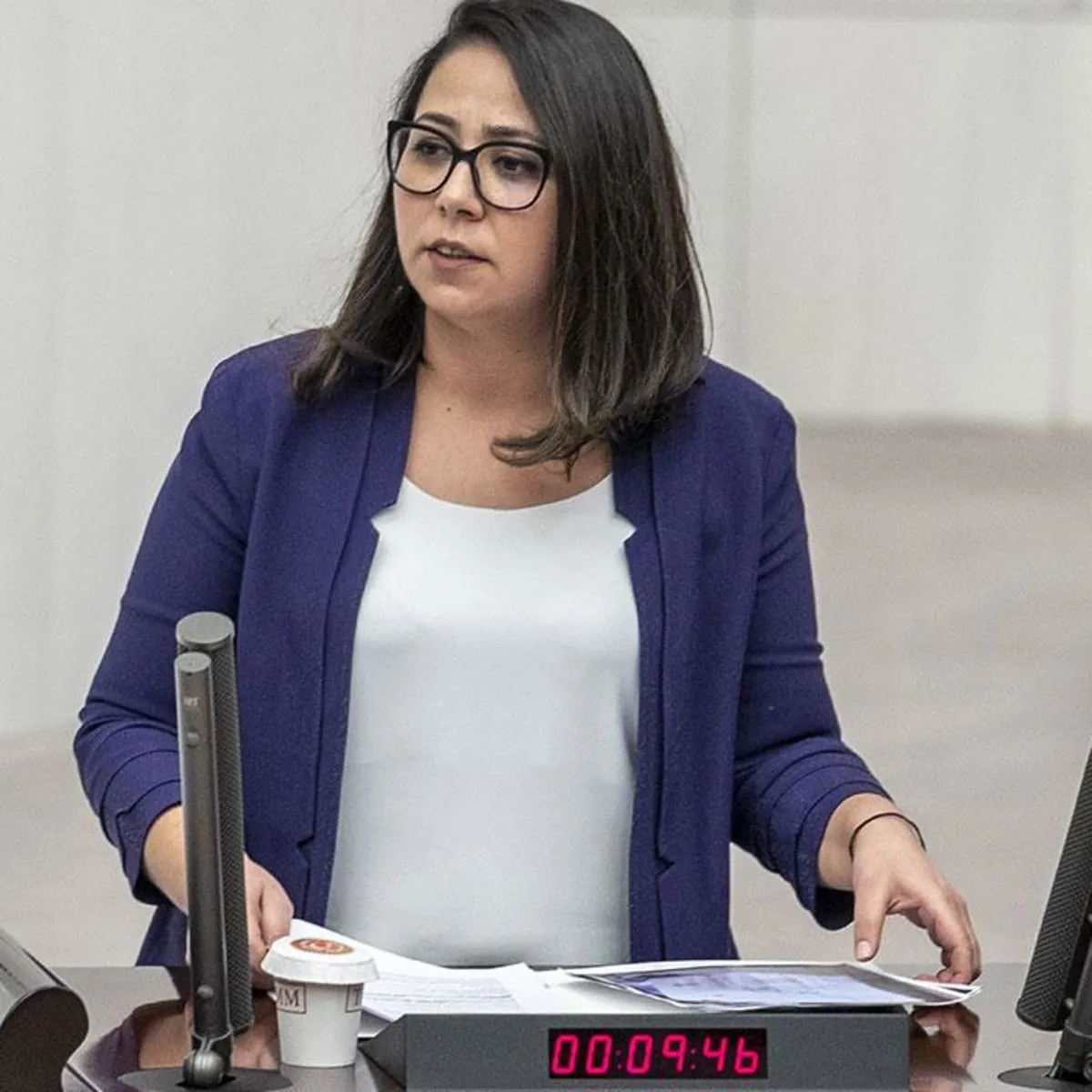 TİP Milletvekili Saliha Sera Kadıgil Hakkında Soruşturma Başlatıldı