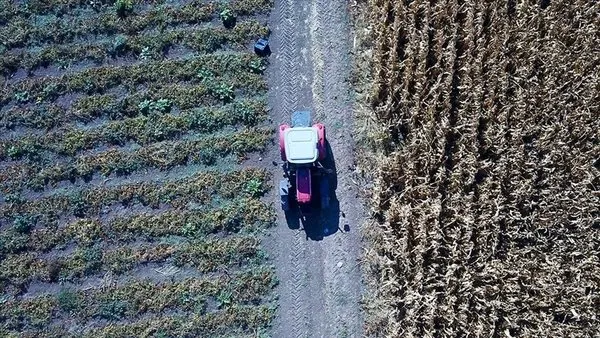 Çiftçilere ikramiye verilecek mi, açıklama geldi mi? Mazot ve gübre desteği alanlara 5 bin TL ikramiye ödenecek mi?
