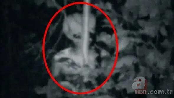 Korkutan görüntü! ABD yaratıkları yerin altında mı saklıyor? 1