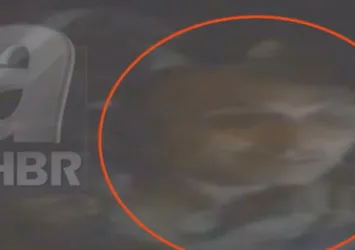 Kayıp Albay nerede?